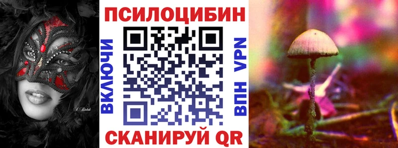 Псилоцибиновые грибы MAGIC MUSHROOMS закладка Старый Оскол