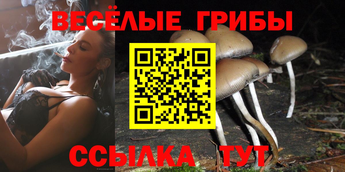 Старый Оскол  дарнет шоп  Вход с VPN  Псилоцибиновые грибы мицелий 
